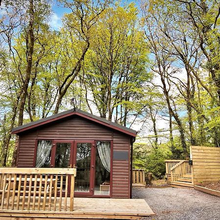 Woodland View -Hot Tub-Tenby-Carmarthen-St Clears Buitenkant foto